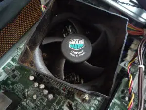 P1050821