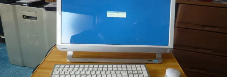 DynabookD51