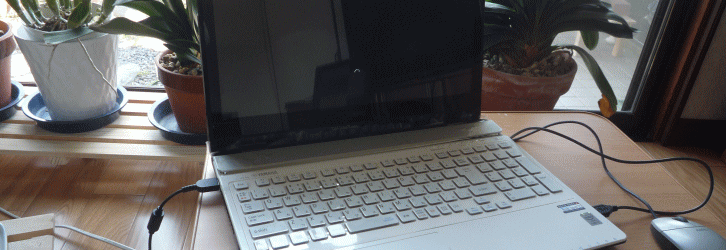 NEC NS750/A