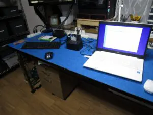 クローン最中の写真